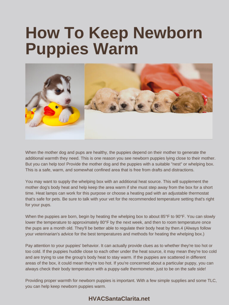 Best way to keep newborn hot sale puppies warm