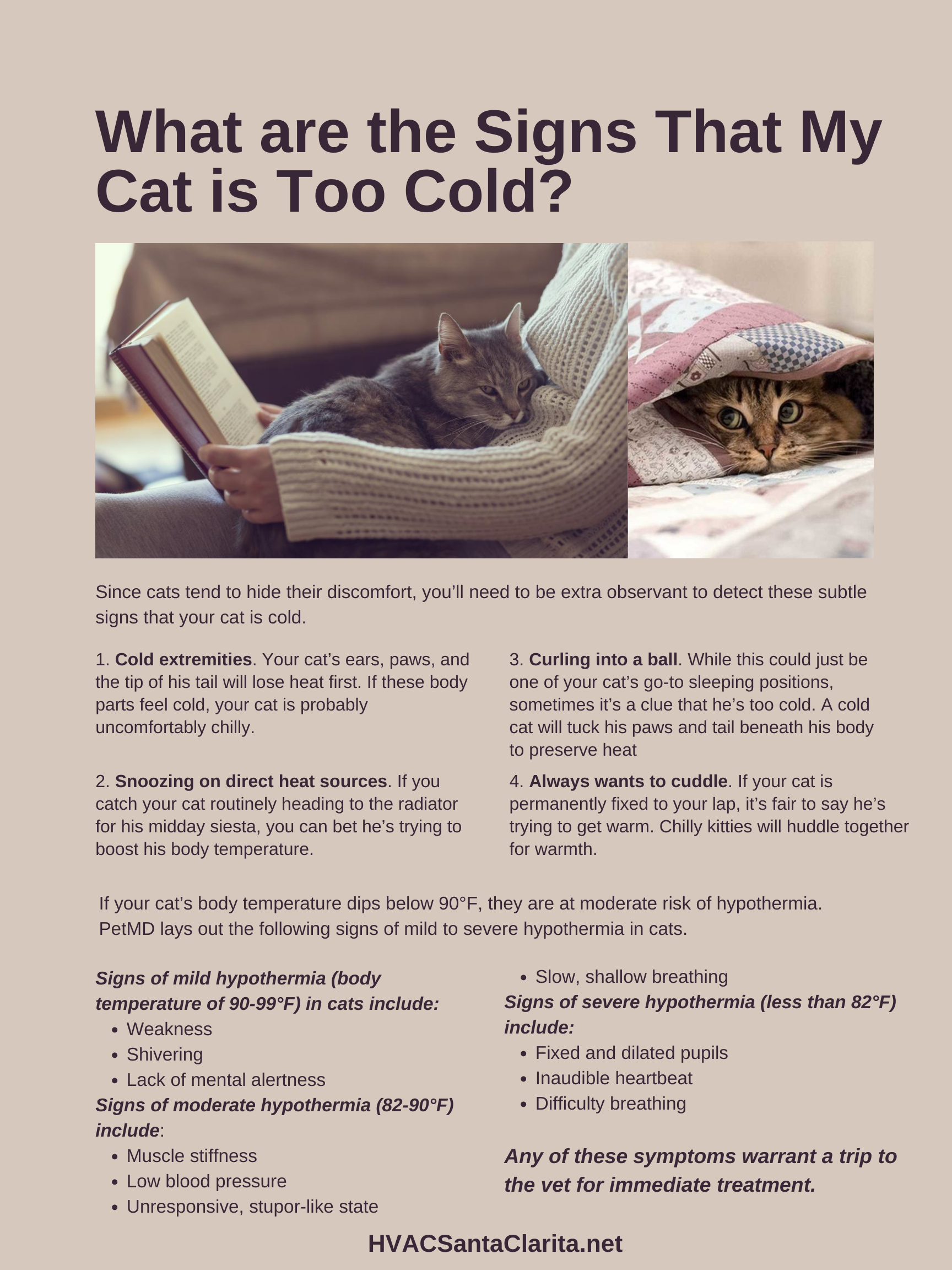 AC temperature for cats