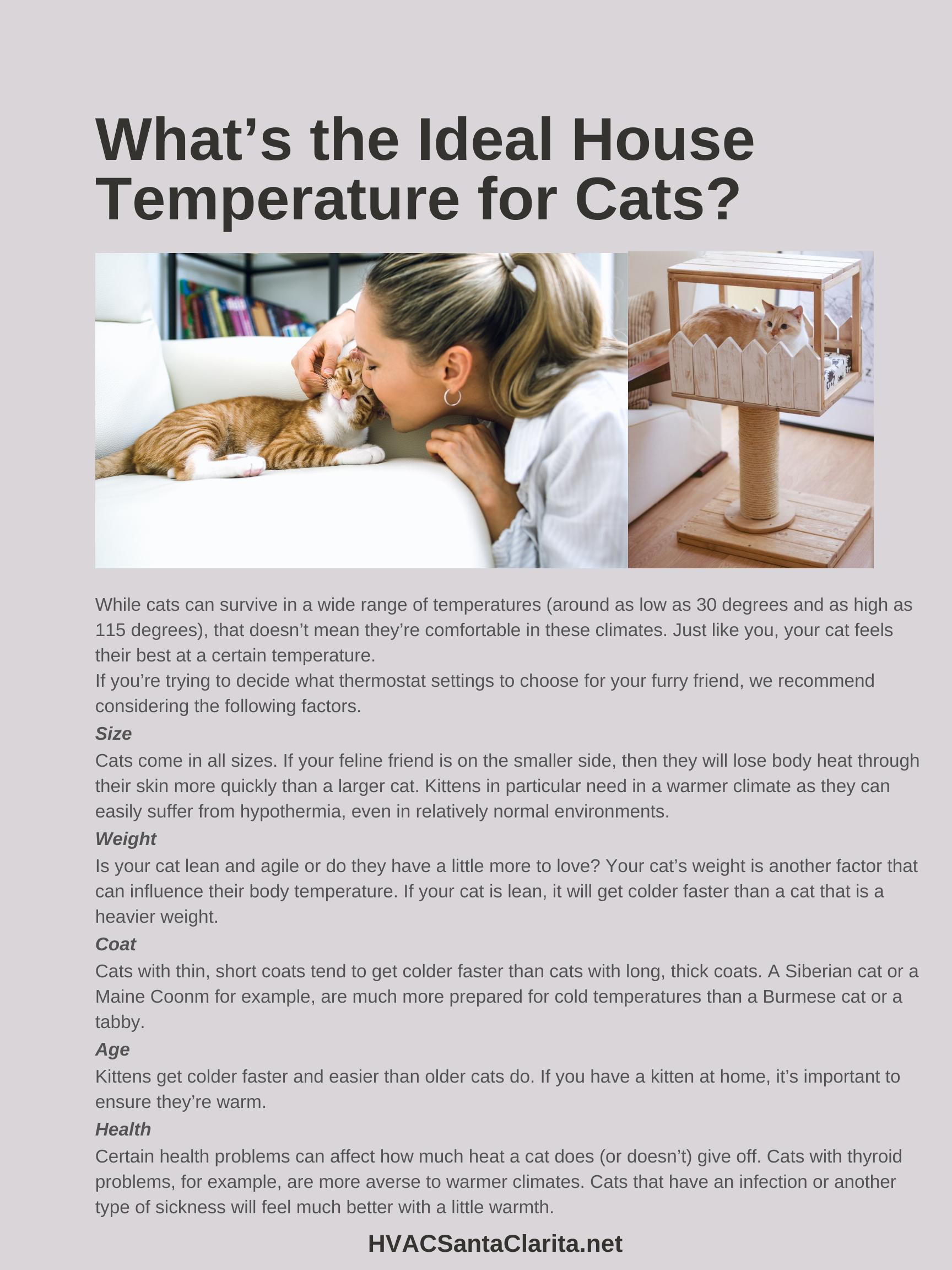 AC temperature for cats